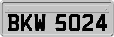 BKW5024