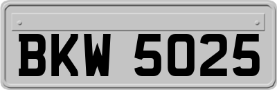 BKW5025