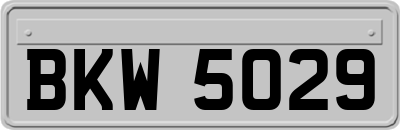 BKW5029