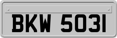 BKW5031