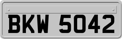 BKW5042