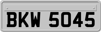 BKW5045