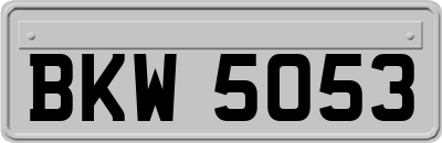 BKW5053