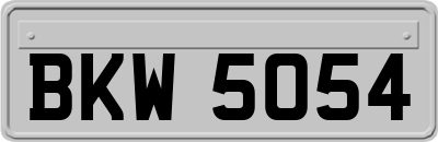 BKW5054