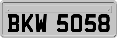 BKW5058