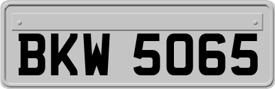 BKW5065