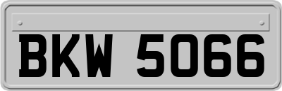 BKW5066
