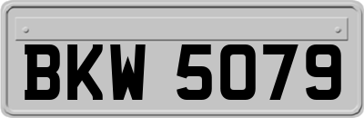 BKW5079