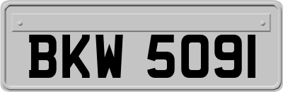 BKW5091