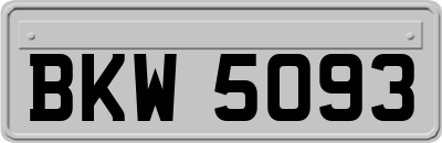 BKW5093