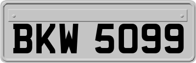 BKW5099