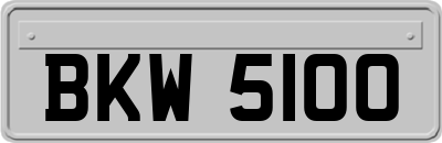 BKW5100