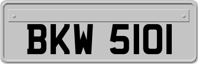BKW5101