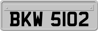 BKW5102