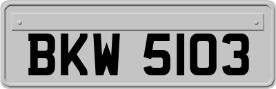 BKW5103