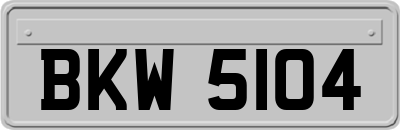 BKW5104