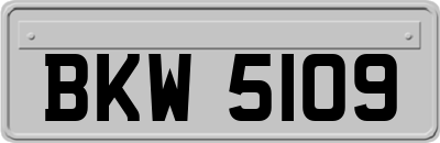 BKW5109
