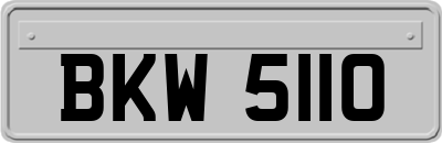BKW5110