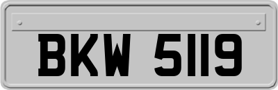 BKW5119