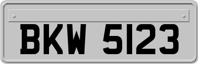 BKW5123