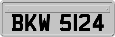 BKW5124