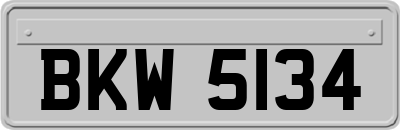BKW5134