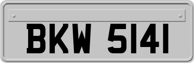 BKW5141