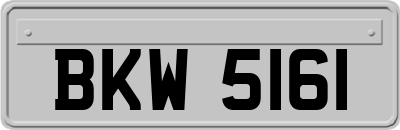 BKW5161