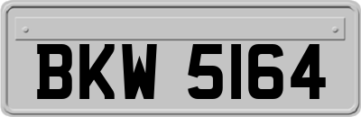 BKW5164
