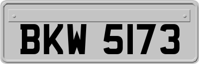 BKW5173