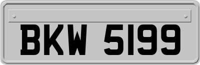 BKW5199