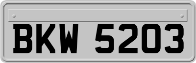 BKW5203