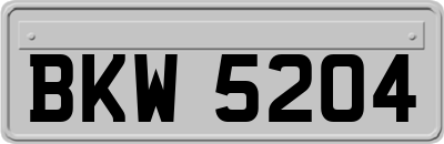 BKW5204