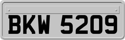 BKW5209