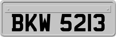 BKW5213