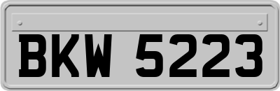BKW5223