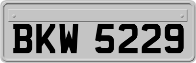BKW5229
