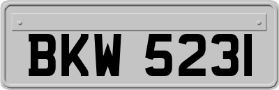 BKW5231