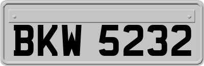 BKW5232
