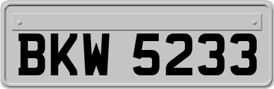 BKW5233