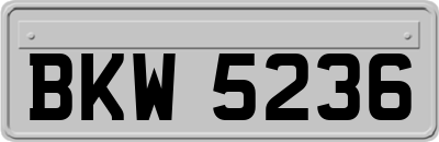 BKW5236