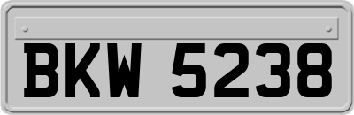 BKW5238