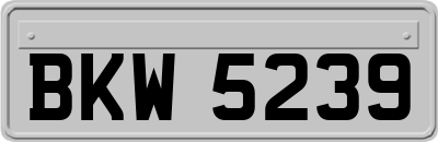 BKW5239