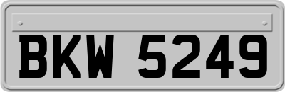 BKW5249
