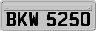 BKW5250