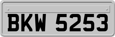 BKW5253