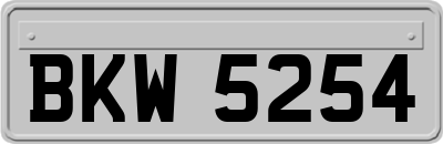 BKW5254