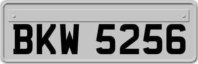 BKW5256