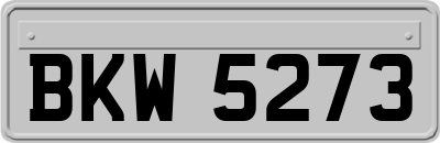 BKW5273
