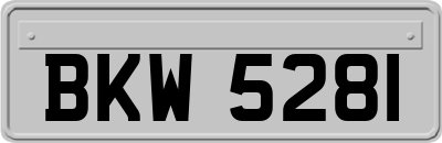 BKW5281